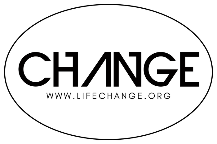 Change Logo Car Magnets